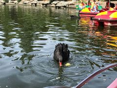 -西安秦岭野生动物园