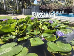 -三亚海棠湾万丽度假酒店