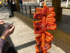 -长白岛森林公园