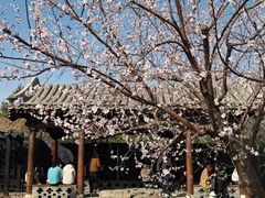 -三里河公园