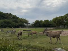 -宁波野生动物园