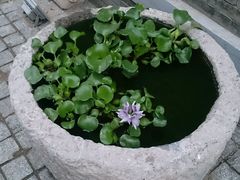 android_upload_pic-宛平九号
