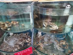 水产区-东来菜馆•手抓海鲜家常菜•海鲜锅贴(鸽子窝店)