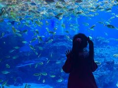 -海合安成都极地海洋公园