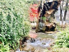 -成飞公园