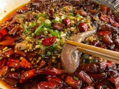 -蜀龙阁· 龍头水煮鱼(天坛店)