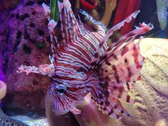 -沈阳海洋探索中心