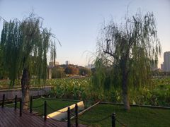 -月湖风景区