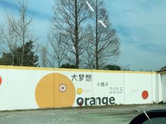 -前小桔亲子创意农场·草莓采摘·露营烧烤