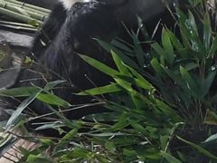 -泉州海丝野生动物世界