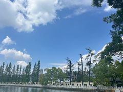 -翠湖公园