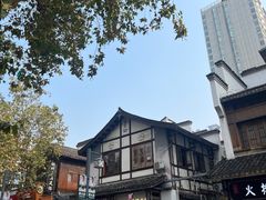 -黑色经典臭豆腐·湖南特产(太平街口店)