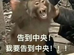 -老诚一锅(来北家园店)