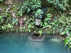 -十八棵（老龙井）御茶园(老龙井店)