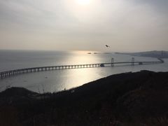 -星海湾跨海大桥