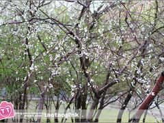 -哈尔滨师范大学(江南校区)