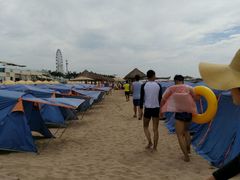 -秦皇岛乐岛海洋王国