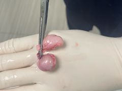 -纳吉亚猫专科动物医院(康都外科中心)