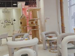 -藏猫猫咖啡主题馆(中央大道店)