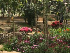 -南通洲际绿博园