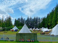 -前小桔亲子创意农场·草莓采摘·露营烧烤