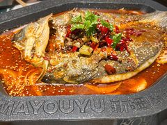 -马有鱼·馕坑烤全鱼(美美2店)