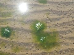 -北戴河东海水浴场