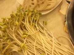 -朱氏胖子烂火锅(洪崖洞店)
