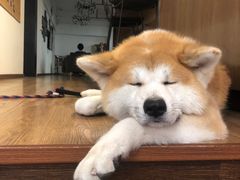 -YCHL Studios健身工作室(市二宫店)