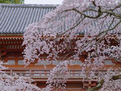 -醍醐寺