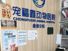 -宠福鑫康馨动物医院·骨科·眼科