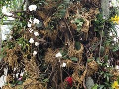 -北京植物园-展览温室