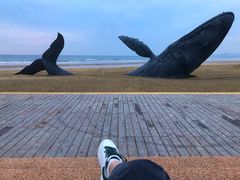 -烟台金沙滩海滨公园