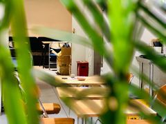 -有肉食·虎九闽菜(798艺术区店)
