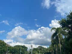 -深圳湾公园(南山区)