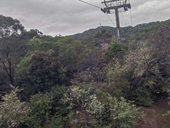 -广州市白云山风景名胜区