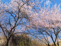 -孟屯河谷景区