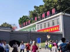 -长洲岛