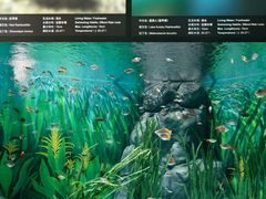 -上海海洋水族馆