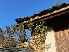 -苏家围·东江画廊旅游景区
