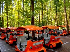 -黄海国家森林公园