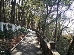 -上海市保健医疗中心