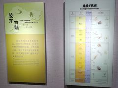 -烟台市博物馆