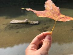 -世间香境·七溪地