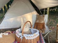 -南宁良凤江国家森林公园