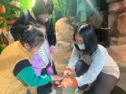 -酷嗒动物文化乐园(cutezoo西溪乐天城店)