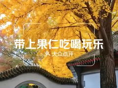 -北京鹫峰国家森林公园