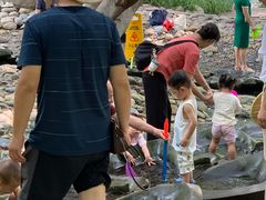 -成都市活水公园
