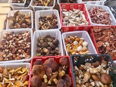 -草墩罗非鱼庄•野生菌•腊排骨(七星街上段店)