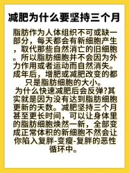 -Fundi张玉珊修身堂·indiba·BTL科技瘦身